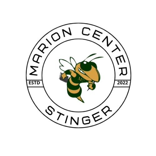 Stinger Logo