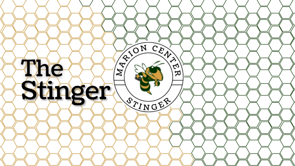 The+Stinger+Newspaper+Website+Banner
